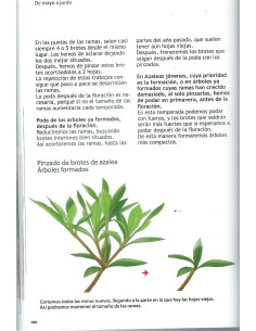 Livre - Passion Bonsai - Travaux Annuels (2) d'Avril à Août 2