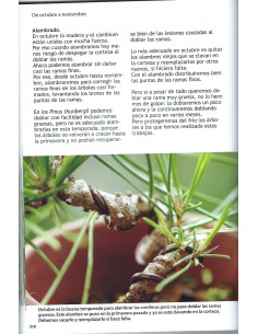 Livre - Bonsai Passion - Travaux annuels (3) d'août à décembre 2