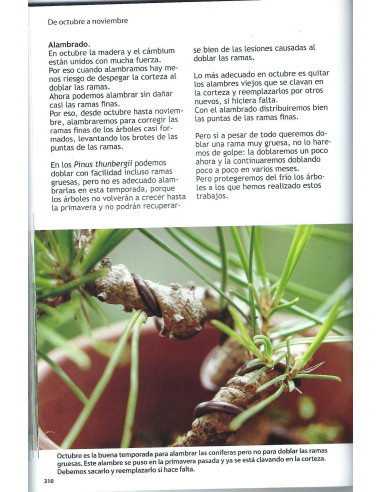 Livre -Bonsai Passion - Travaux Annuels (3) d'Août à Décembre