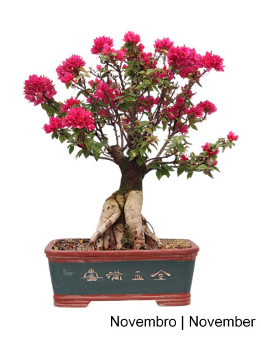 bonsai fake Faux Bonsai Plant in Metal Pot