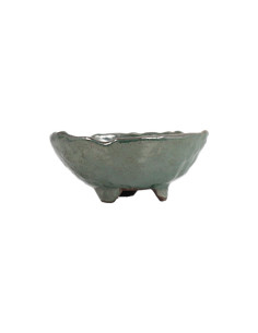 Vaso de Bonsai Mame - Kusamono-  16*6,5 cm  Verde – Japão