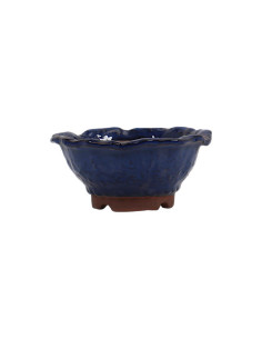 Pot de bonsaï Mame - Kusamono - 17,5*8 cm Bleu – Japon