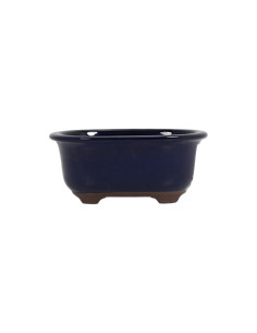 Oval Bonsai Pot 15.5*12*6.5 cm Blue - Japan