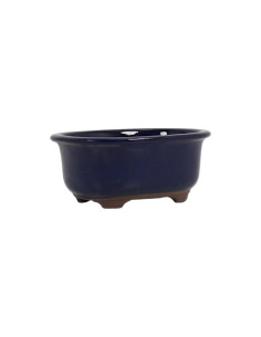 Vaso de Bonsai Oval 15,5*12*6,5 cm Azul - Japão 2