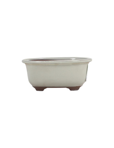 Maceta de Bonsái Ovalada 15,5*12*6,5 cm Crema - Japón