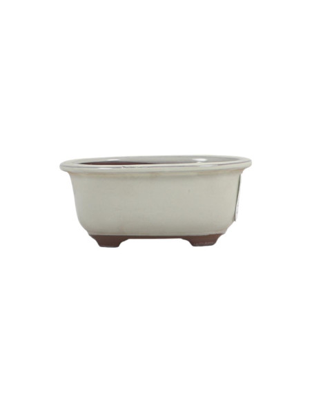 Ovaler Bonsai-Topf 17,5*14,5*6,5 cm Creme - Japan