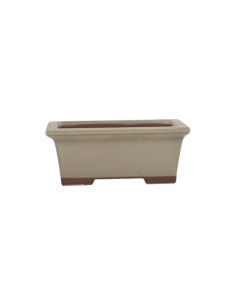 Rechteckiger Bonsai-Topf 13,5*10,5*5 cm Creme - Japan
