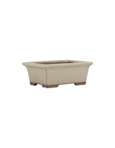 Rechteckiger Bonsai-Topf 13,5*10,5*5 cm Creme - Japan 2