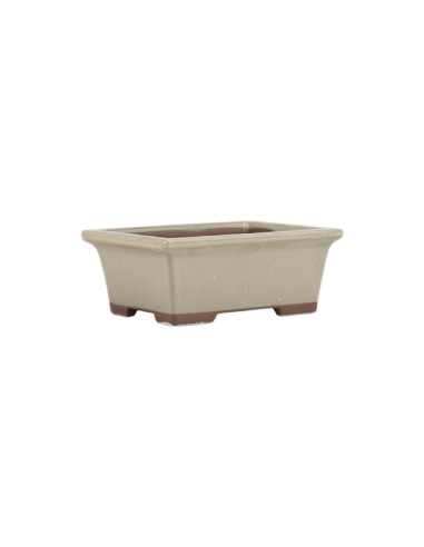 Vaso de Bonsai Retangular 16*13*5,5 cm Creme - Japão