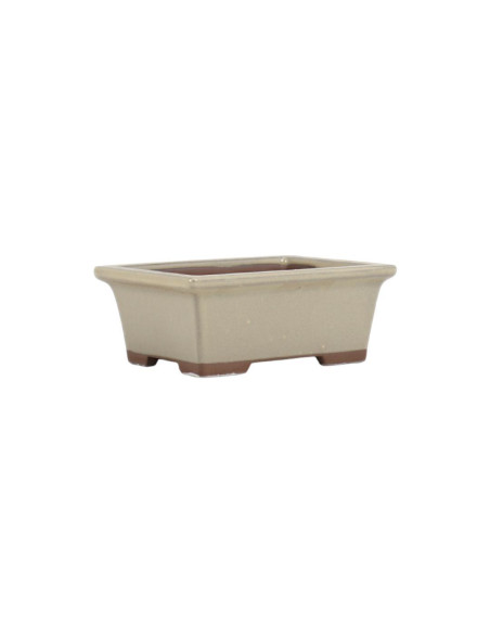 Vaso de Bonsai Retangular 16*13*5,5 cm Creme - Japão