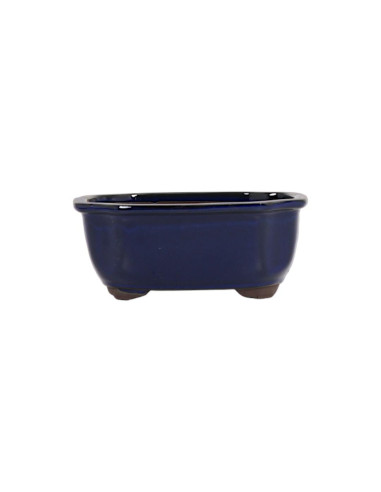 Vaso di Bonsai Ovale 14,5*12*6,5 cm Blu - Giappone