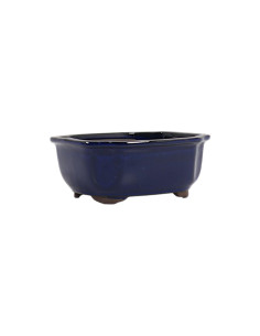 Vaso de Bonsai Oval 14,5*12*6,5 cm Azul - Japão 2
