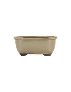 Maceta de Bonsai Oval 16*14*7 cm Crema - Japón