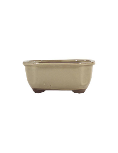 Oval Bonsai Pot 16*14*7 cm Cream - Japan