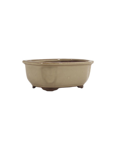 Oval Bonsai Pot 16*14*7 cm Cream - Japan