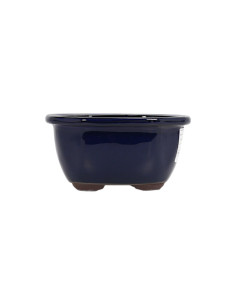 Vaso de Bonsai Oval 23,5*18,5*8,5 cm Azul - Japão