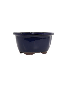 Pot de Bonsai Oval 23,5*18,5*8,5 cm Bleu - Japon 2