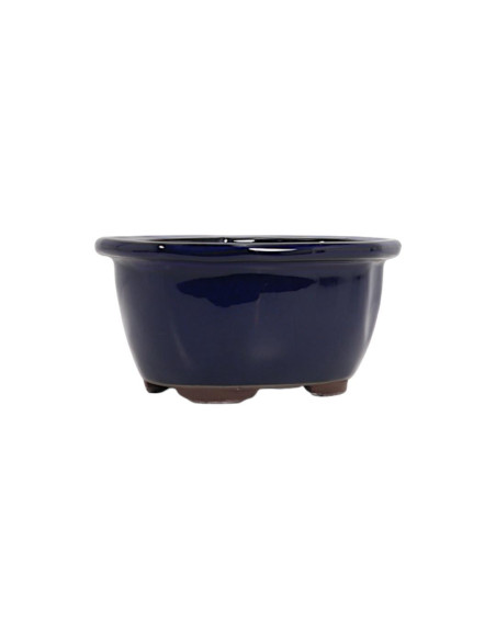 Maceta de Bonsái Ovalada 23,5*18,5*8,5 cm Azul - Japón