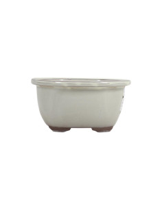Oval Bonsai Pot 16.5*13.5*8.5 cm Cream - Japan