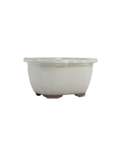 Ovaler Bonsai-Topf 16,5*13,5*8,5 cm Creme - Japan 2