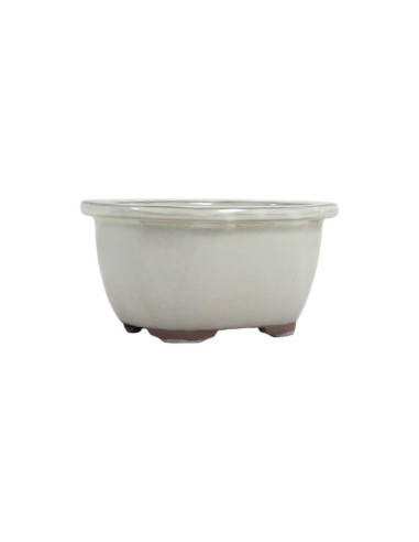 Ovaler Bonsai-Topf 19,5*16*8,5 cm Creme - Japan