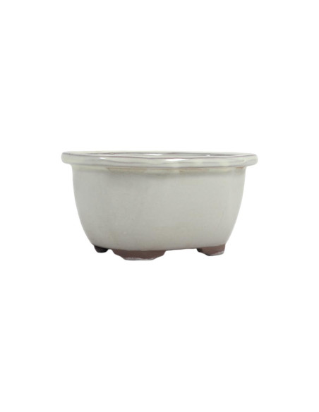 Oval Bonsai Pot 23.5*18.5*8.5 cm Cream - Japan