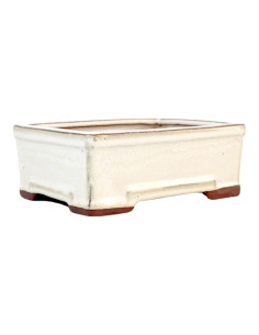 Rechteckiger Bonsai-Topf 32*23,5*10,5 cm Creme - Yixing 2
