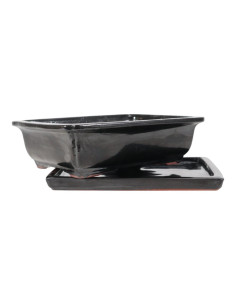 Pot of Bonsai Rectangular + Plate 39*30*11 cm Black - Yixing 2