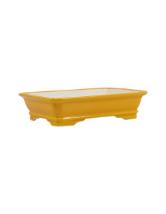 Vase de Bonsai Rectangulaire 22*17*5,5 cm Jaune – Dehua 2