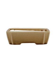 Vaso für Bonsai Rechteckig 16*13*4,5 cm Creme Craque – Dehua