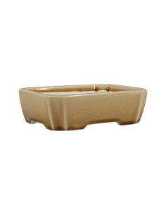 Vaso für Bonsai Rechteckig 16*13*4,5 cm Creme Craque – Dehua 2