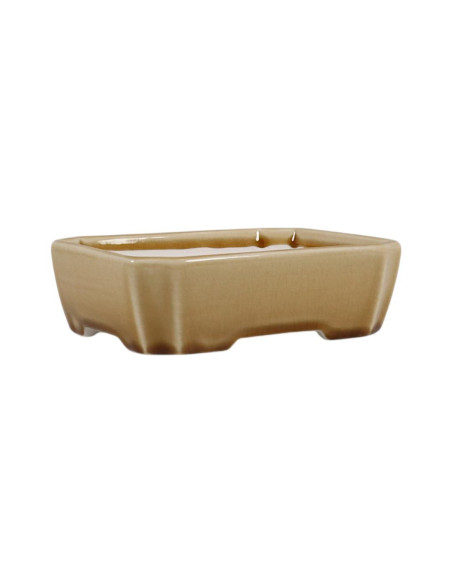 Pot de Bonsai Rectangular 16*13*4,5 cm Cream Craque – Dehua