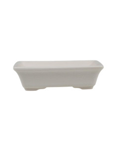 Vaso di Bonsai Rettangolare 15*11*4 cm Bianco Craquelé – Dehua