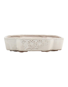 Vaso di Bonsai Ovale 35*29,5*7,5 cm Crema - Yixing