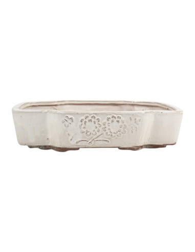 Maceta de Bonsai Oval 35*29,5*7,5 cm Crema - Yixing