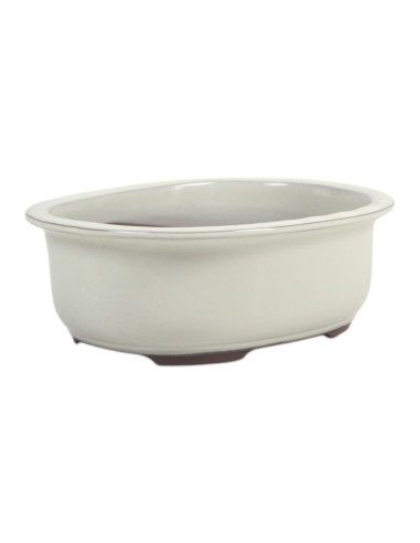 Vaso de Bonsai Oval 27*22*8 cm Creme - Japão