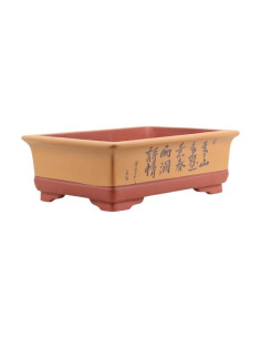 Pot of Bonsai Rectangular with Designs 37*26*12 cm Without Glazed - Yixing 2