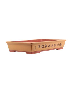 Maceta de Bonsai Rectangular C/Diseños 50*32*9,5 cm Sin Esmalte Claro - Yixing 2