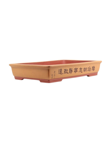Maceta de Bonsai Rectangular C/Diseños 50*32*9,5 cm Sin Esmalte Claro - Yixing