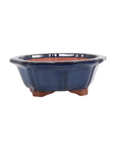 Vase de Bonsai Hexagonal 24*24*9 cm Bleu - Yixing