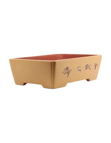 Maceta de Bonsai Rectangular c/Diseños 50*35*15 cm Sin Esmalte - Yixing