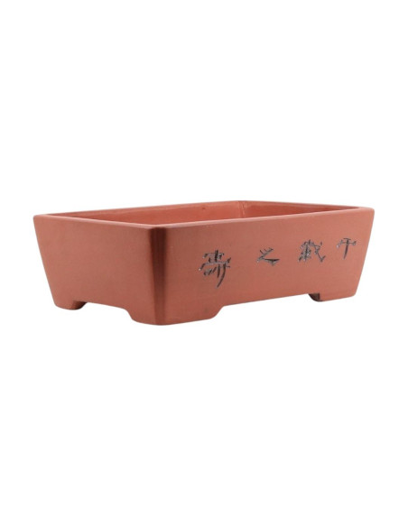Vaso de Bonsai Retangular c/Desenhos 50*35*15 cm Sem Esmalte - Yixing