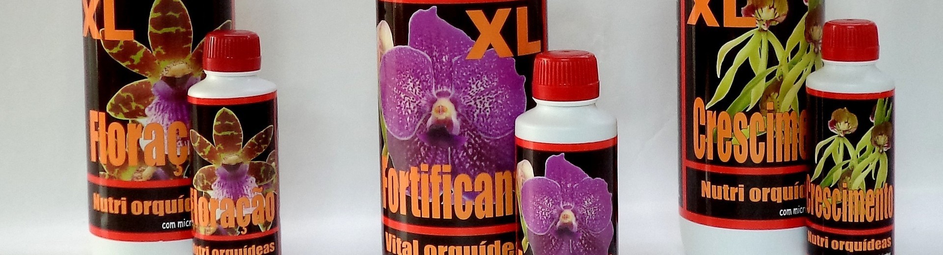 Ficha Técnica - Produtos Orquídeas