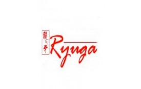 Ficha Técnica - Ferramentas Ryuga