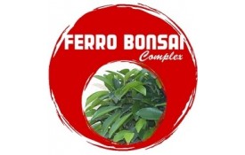 Ficha Técnica - Ferro Bonsai