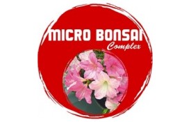 Ficha Técnica - Micro Bonsai