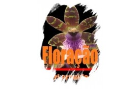 Ficha Técnica - Nutri Orquídeas Floração 