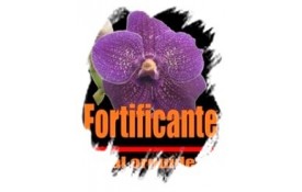 Ficha Técnica - Vital Orquídeas Fortificante