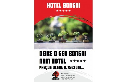 Hotel de Bonsai